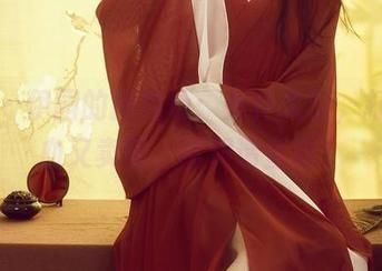 丽柜 - 伊园的新角色：女仆大侠，打怪回血又卖萌，图册请查收！