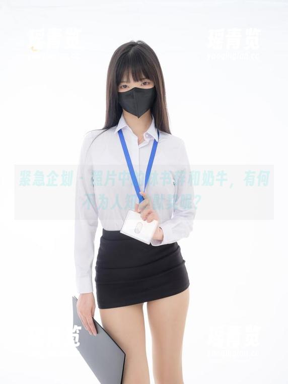 紧急企划-林书辞 紧急企划 - 照片中的林书辞和奶牛,有何不为人知的默契呢?